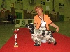  - Le Bois des Amourettes à l'honneur au Paris Dog Show !!!